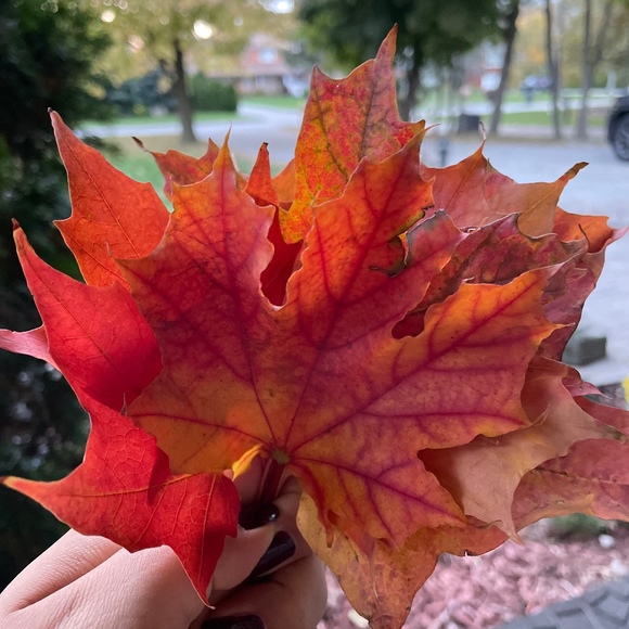 Meet your Posher, Aimee - Picture 1 of 1